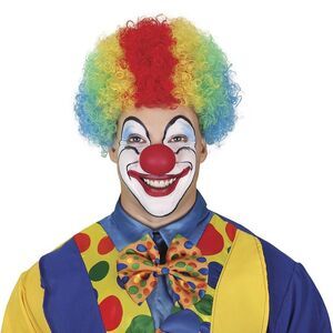 Fiestas Guirca Curly Clown Wig / Multicolored